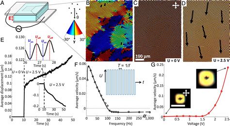 Electrically Powered Motions Of Toron Crystallites In Chiral Liquid