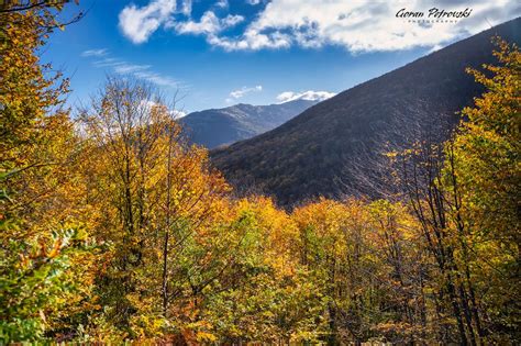 _DSC3575 by Goran Petrovski on YouPic