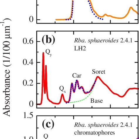 Color Online Absorption Spectra Of A Spheroidene In Thf B Lh