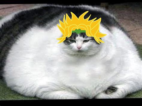 Dio Cat Blank Template Imgflip
