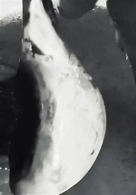 Anal Amateur Stretching In Hotel Plus Various Scenes To Come Close Up Of Prolapse Asftyer Clamp