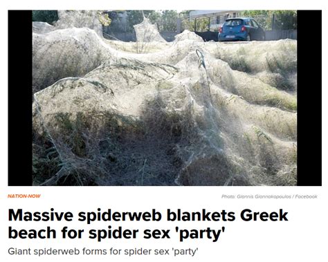 European Spider Beach Sex Party R Damnthatsinteresting