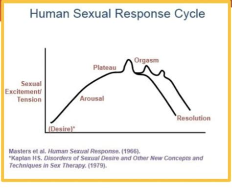 Human Sexuality Ch 9 Flashcards Quizlet