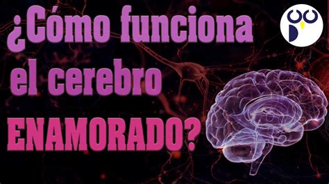 🧠💓 CÓmo Funciona Nuestro Cerebro Cuando Nos Enamoramos Youtube