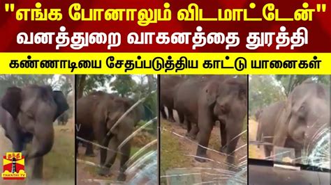 எங்க போனாலும் விடமாட்டேன் வனத்துறை வாகனத்தை துரத்தி கண்ணாடியை சேதப்படுத்திய காட்டு யானைகள்