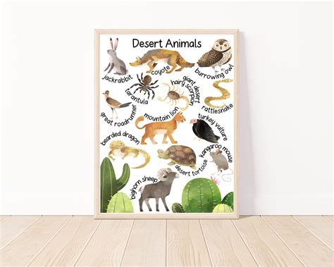 Desert Animal Poster, Educational Poster, Weather Posters, Classroom ...