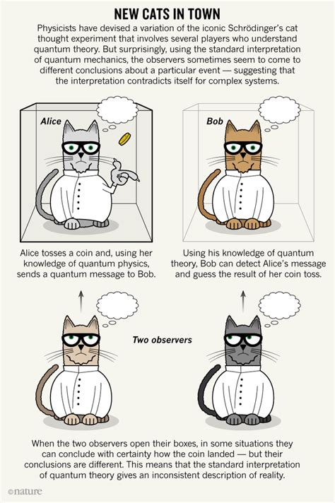 Revised Schrödinger S Cat Experiment Challenges Reality Schrödinger S Cat Experiment