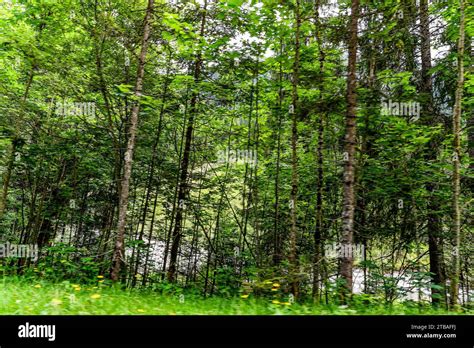 Großer Alpsee das vielseitige Naturerlebnis im Oberallgäu der Große