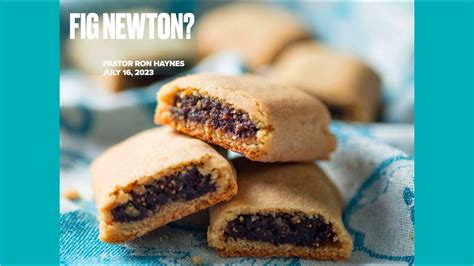 Fig Newton Youtube