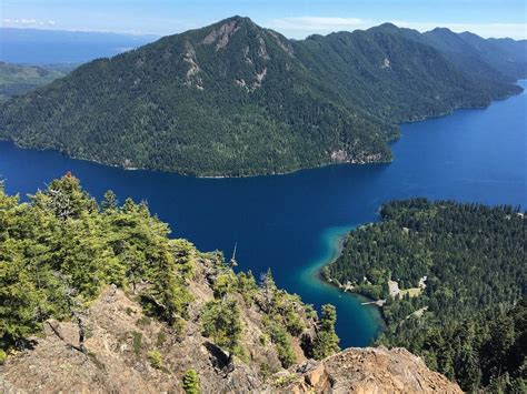 Mushroom Trails Of Washingtons Olympic Peninsula Touristsecrets
