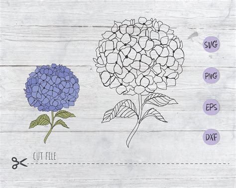 Hydrangea Svg Flowers Garden Flower Svg For Cricut Cut File Etsy