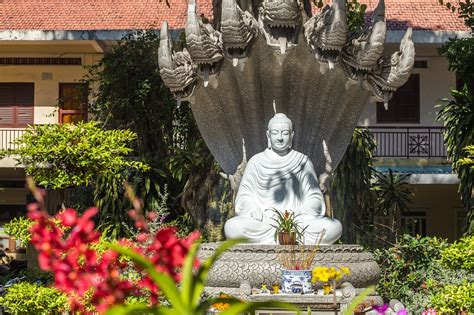 Buddha Buddhist White Free Photo On Pixabay Pixabay