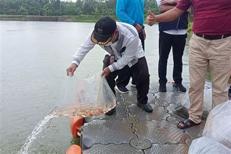 Pemkot Jaktim Tebar Ribu Benih Ikan Di Waduk Setu Antara News