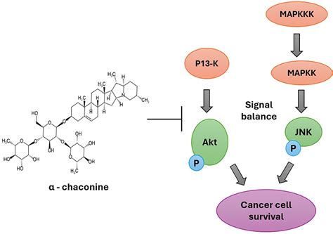 Solanum Alkaloids With Particular Emphasis On Cancer DDDT