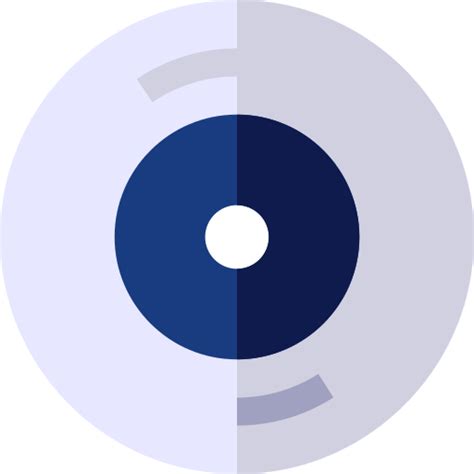 Disc Basic Straight Flat icon