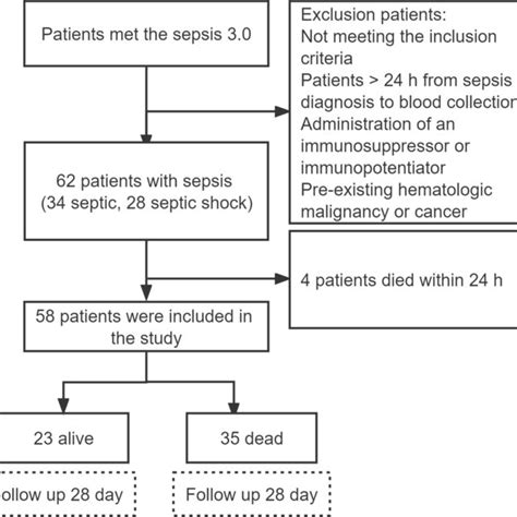 Flow Chart For Sepsis Patients Download Scientific Diagram