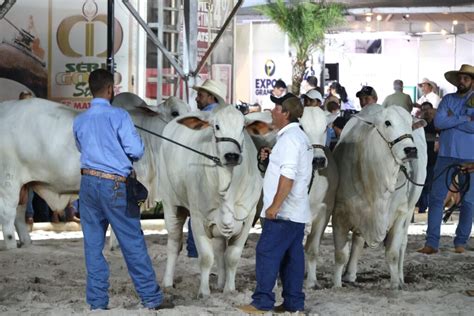 Expogrande Destaca Avan O Econ Mico E Parceria Do Governo De Ms