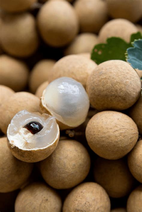 25 Exotic Asian Fruits To Try On Your Next Trip To The Region Or Grocer Longan Fruit Fruit