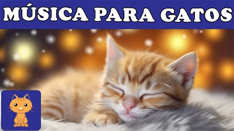 Música para Relajar y Dormir Gatos Dulce Música Y Ondas Delta Para