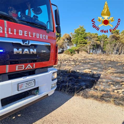 Centinaia Di Ettari Di Alberi E Sterpaglie In Fumo In Salento Decine