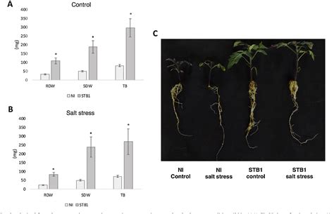 Figure From Plant Growth Promoting Activities And Genomic Analysis Of