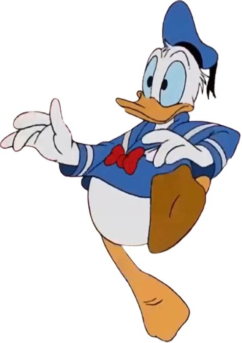 Donald Duck Vector 3 By Mrtoonlover83 On Deviantart
