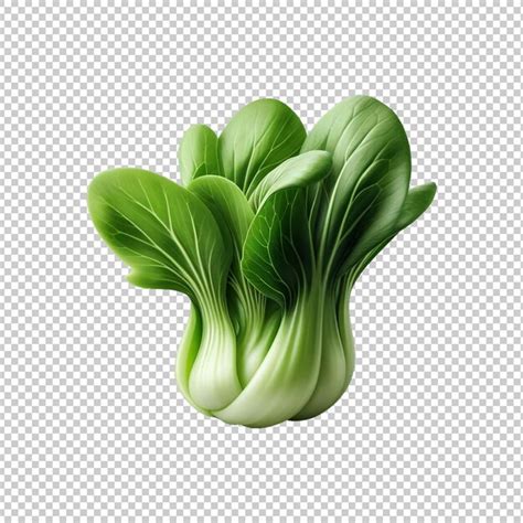 Premium Psd Bok Choy Or Pak Choy Cabbage Isolated Fresh Vegetables