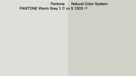 Pantone Warm Grey 1 C Vs Natural Color System S 1502 Y Side By Side