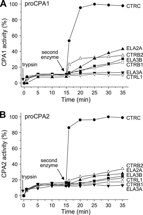 Chymotrypsin C Is A Co Activator Of Human Pancreatic