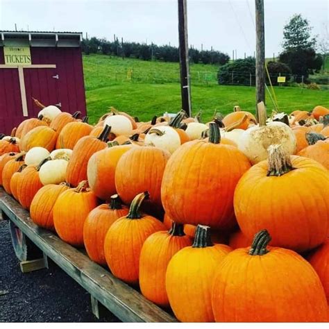 Fall Festivals Near Me: Pittsburgh Fall Festivals 2022