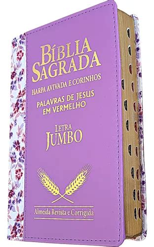 B Blia Jumbo Letra Extra Gigante Harpa Luxo Feminina Masc R Em