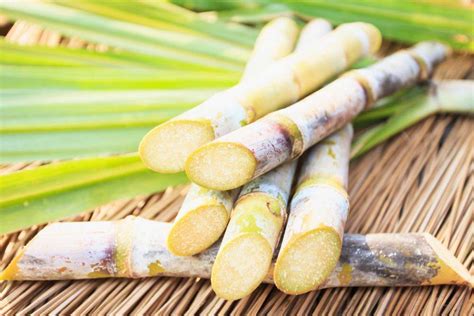 Sugar Cane Health Benefits And Sample Recipe —