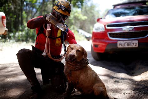 Trag Dia Em Brumadinho Fotos De De Janeiro Dia De Buscas