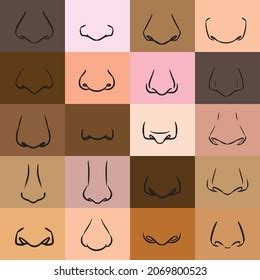 Noses Collection Human Noses Hand Drawn Stock Vector Royalty Free