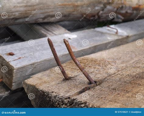 Two Rusty Curved Nails In Wood Plank Stock Image Image Of Macro Iron