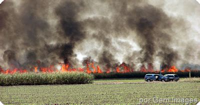 Deterioro Ambiental Por Quema De La Ca A De Az Car Introduccion