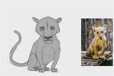 Animal Character Sketches - WIP on Behance