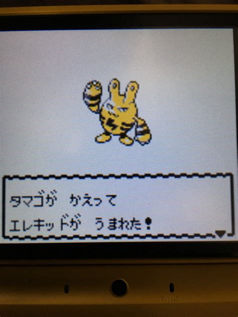 【色違いポケモン紹介】vc産エレキッド 自由に生きてあそblog