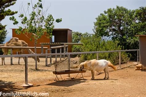 The Pafos ZOO, Cyprus | FamilyWithKids.com