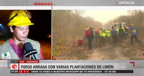 El Fuego Arrasa Con Varias Plantaciones De Lim N En Yororob