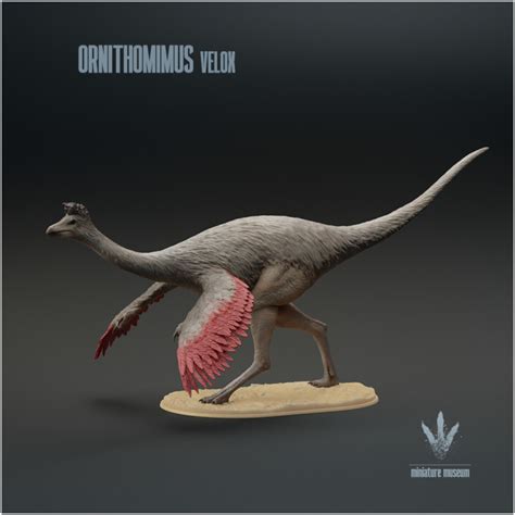 3D Printable Ornithomimus Velox Display By Miniature Museum