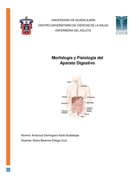 Morfología Y Fisiología Del Aparato Digestivo Esquemas Y Mapas Conceptuales De Fisiología