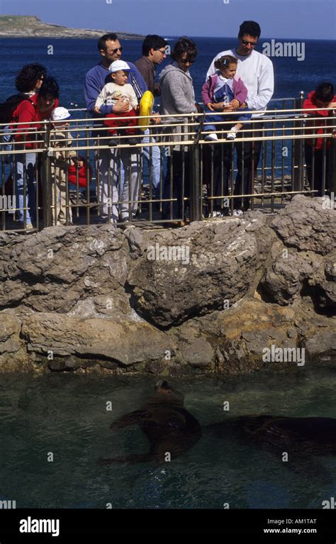 Zoo in Magdalena peninsula SANTANDER CITY Cantabria Spain Stock Photo ...