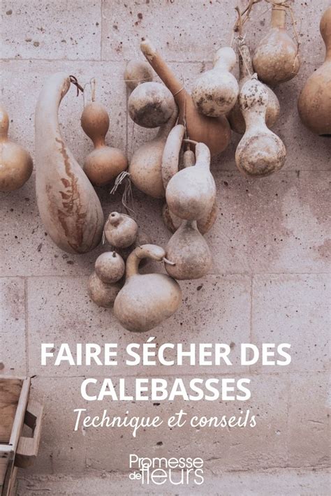 Calebasse récolte vidage séchage curage et entretien