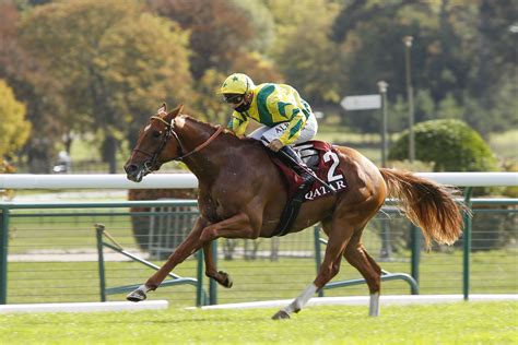 Résultats PMU Prix des Equidays le 17 Octobre 2022 TURF FR