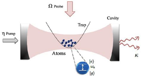 A Typical Configuration For Trapped Ultracold Atoms In Cavity The