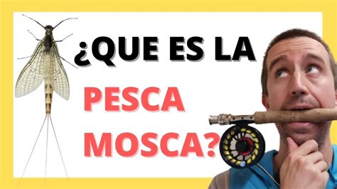 Qué es la Pesca con Mosca TODO LO QUE DEBES SABER