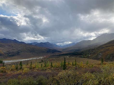 Unique Things To Do In Dawson City Yukon Top Left Adventures