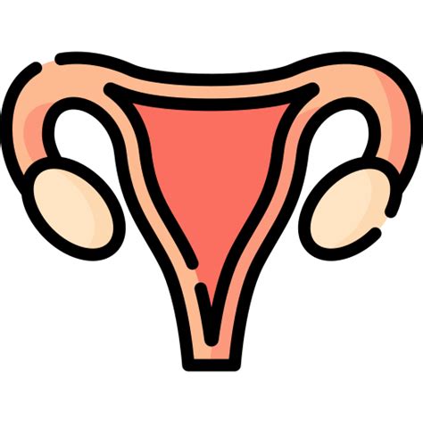 Uterus Free Healthcare And Medical Icons