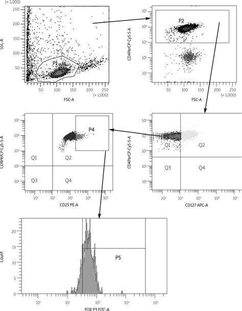 Cells Staining For Cd4 Cd25high Cd127low And Foxp3 Expression By